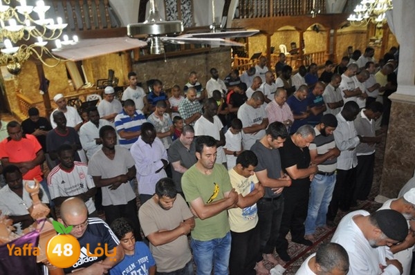 trawe7 mahmodiya 713 (1).JPG